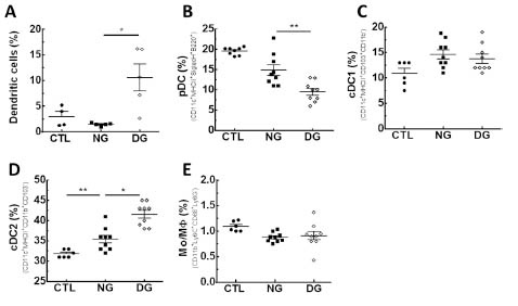 Rare IL2 dendrite extension defects in dig-1 mutants are enhanced